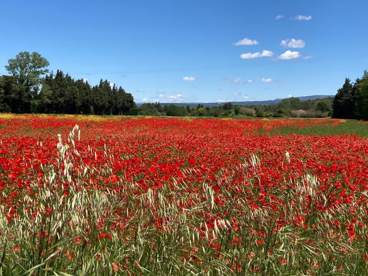 Ilot Coquelicot - Parking Gratuit Securise - Ac Clim - Ascenseur - Balcon Apartment L'Isle-sur-la-Sorgue Bagian luar foto